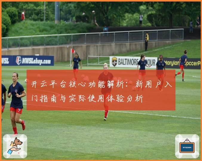 开云平台核心功能解析：新用户入门指南与实际使用体验分析